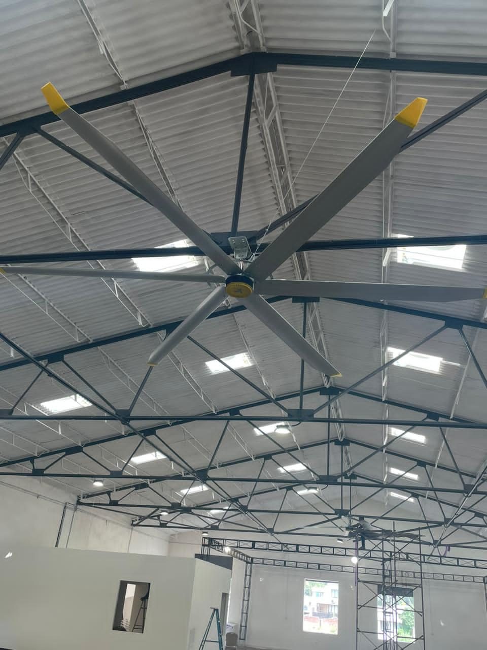 HVLS fan in a livestock barn